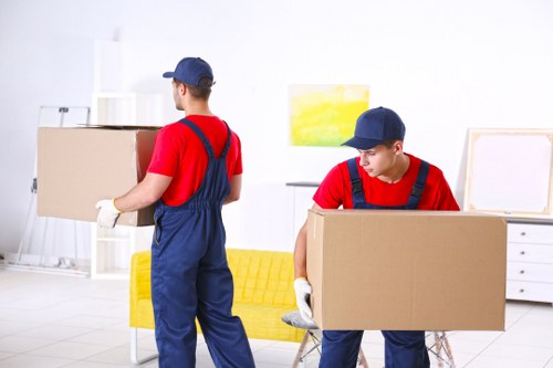 Moving professionals assisting with removals in Bermondsey