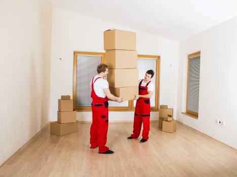 Eco-friendly removal solutions in Falconwood